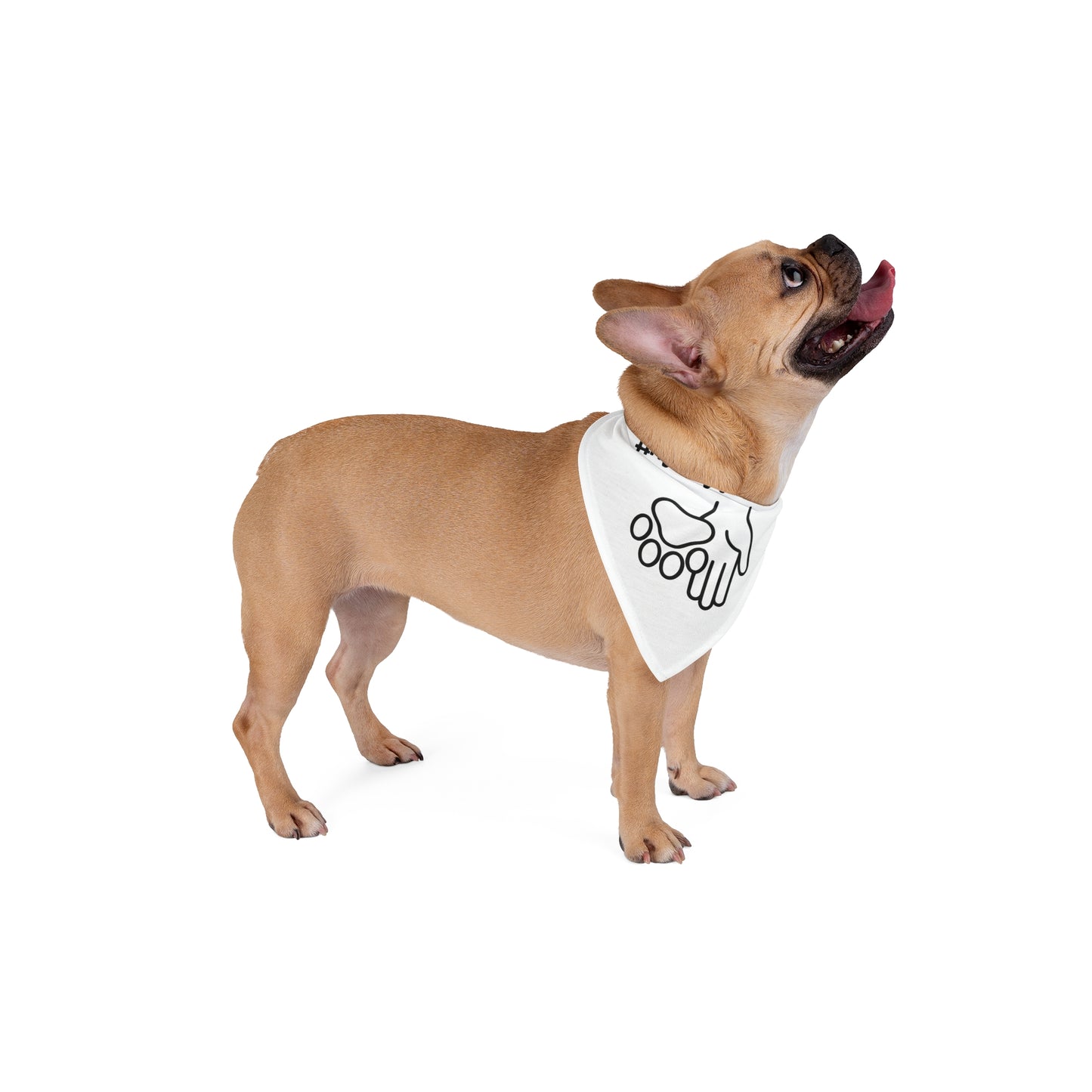 Stylish Pet Bandana for Dogs, Watch My Mutt Design, Perfect for Dog Lovers, Pet Accessories, Cute Dog Gifts, Dog Photography