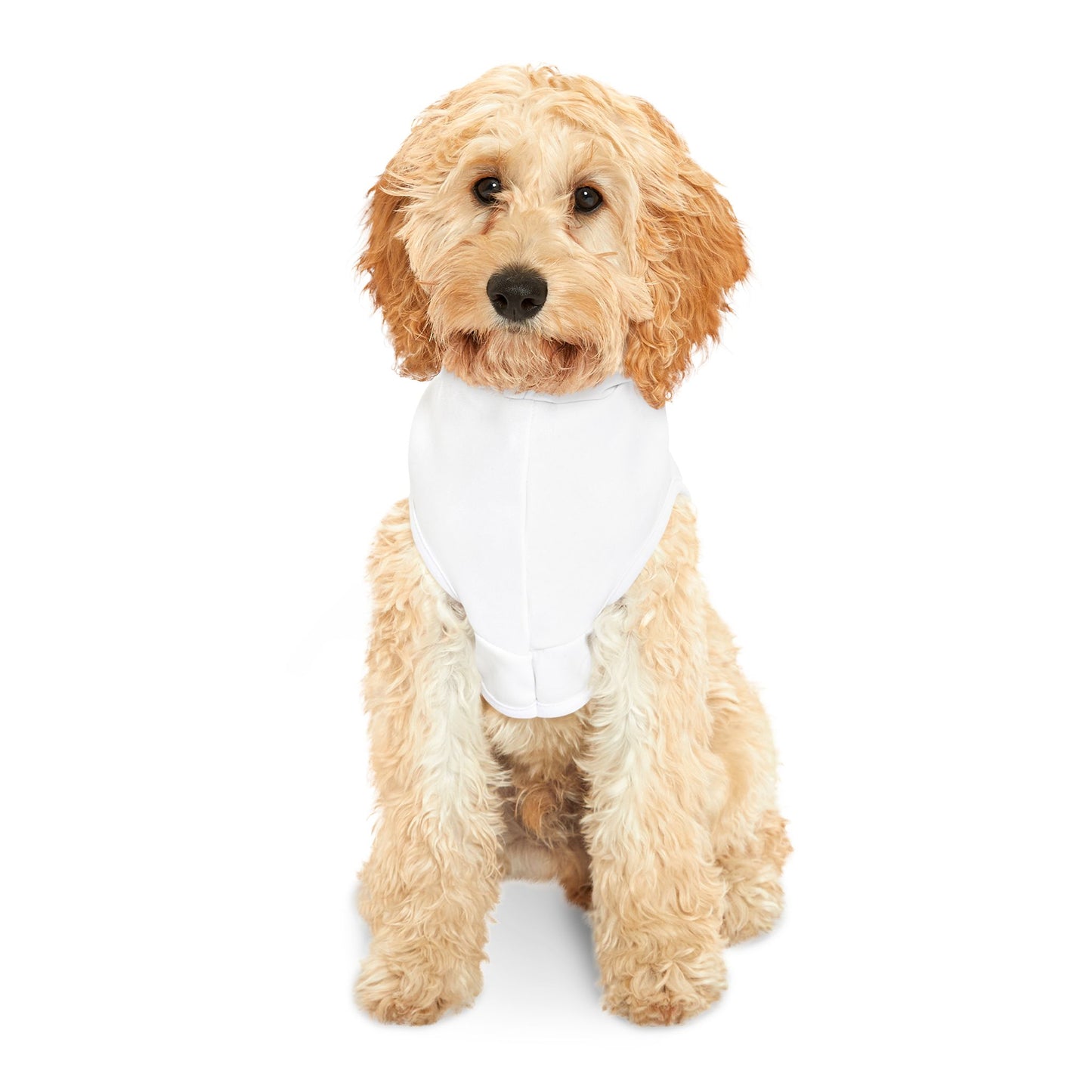 Match My Mutt Pet Hoodie - Cozy Dog Sweatshirt, Cute Pup Outfit, Pet Lover Gift, Matching Pet Apparel, Funny Pet Clothing