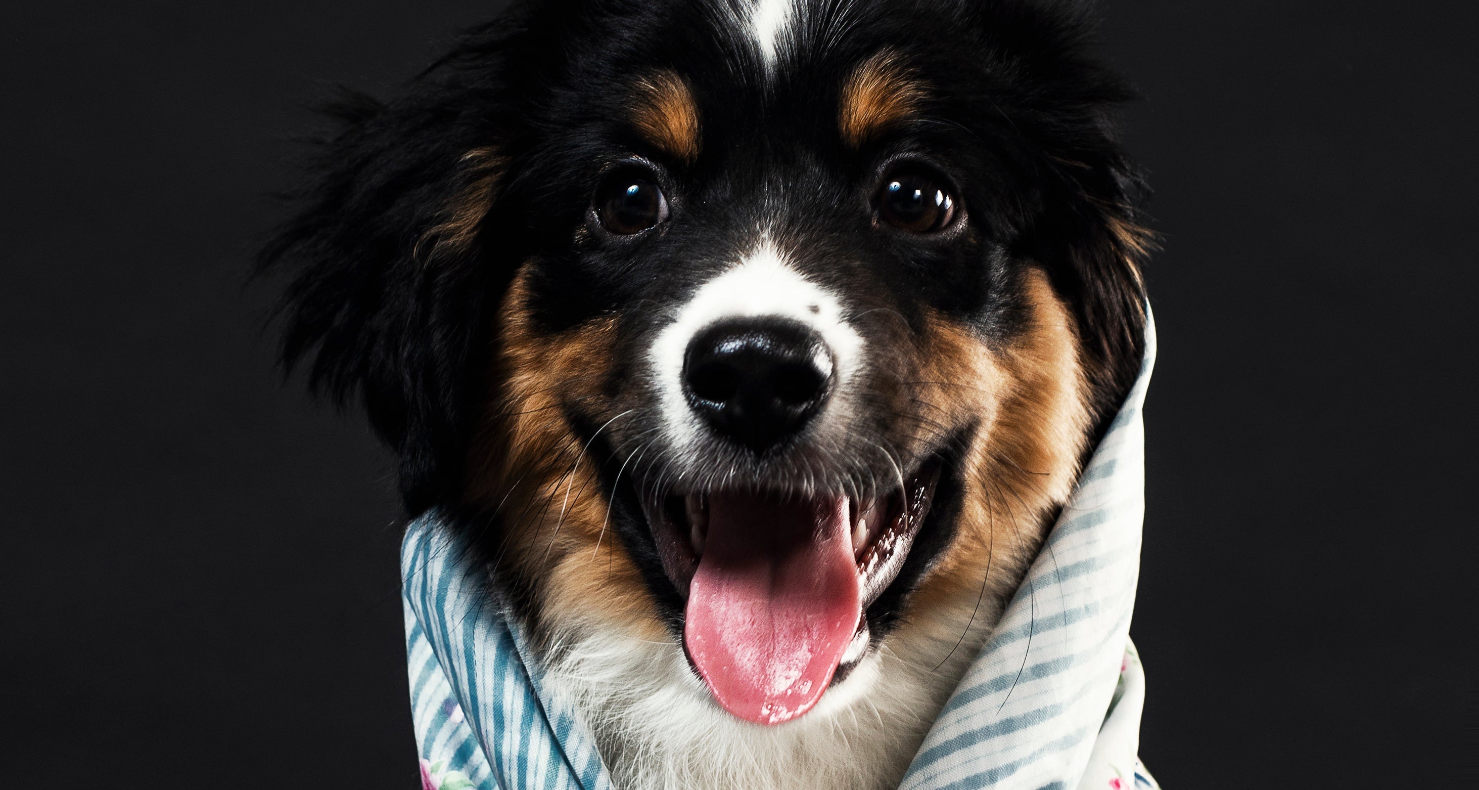 Happy dog wearing a floral bandana